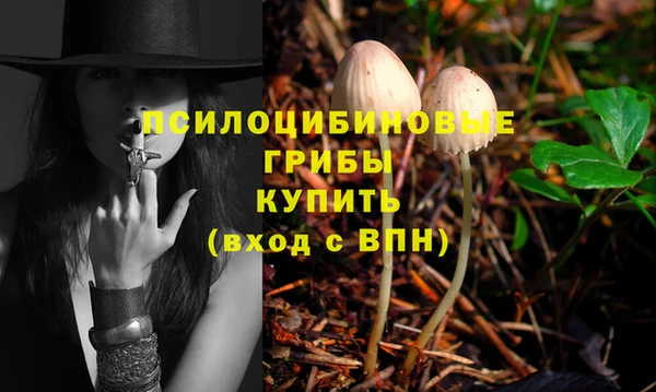 гидра Беломорск