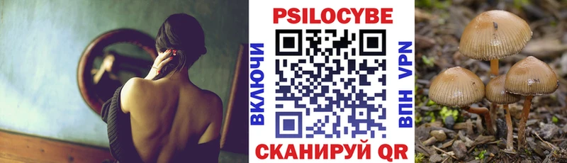 Псилоцибиновые грибы Psilocybine cubensis  магазин продажи   Петрозаводск 